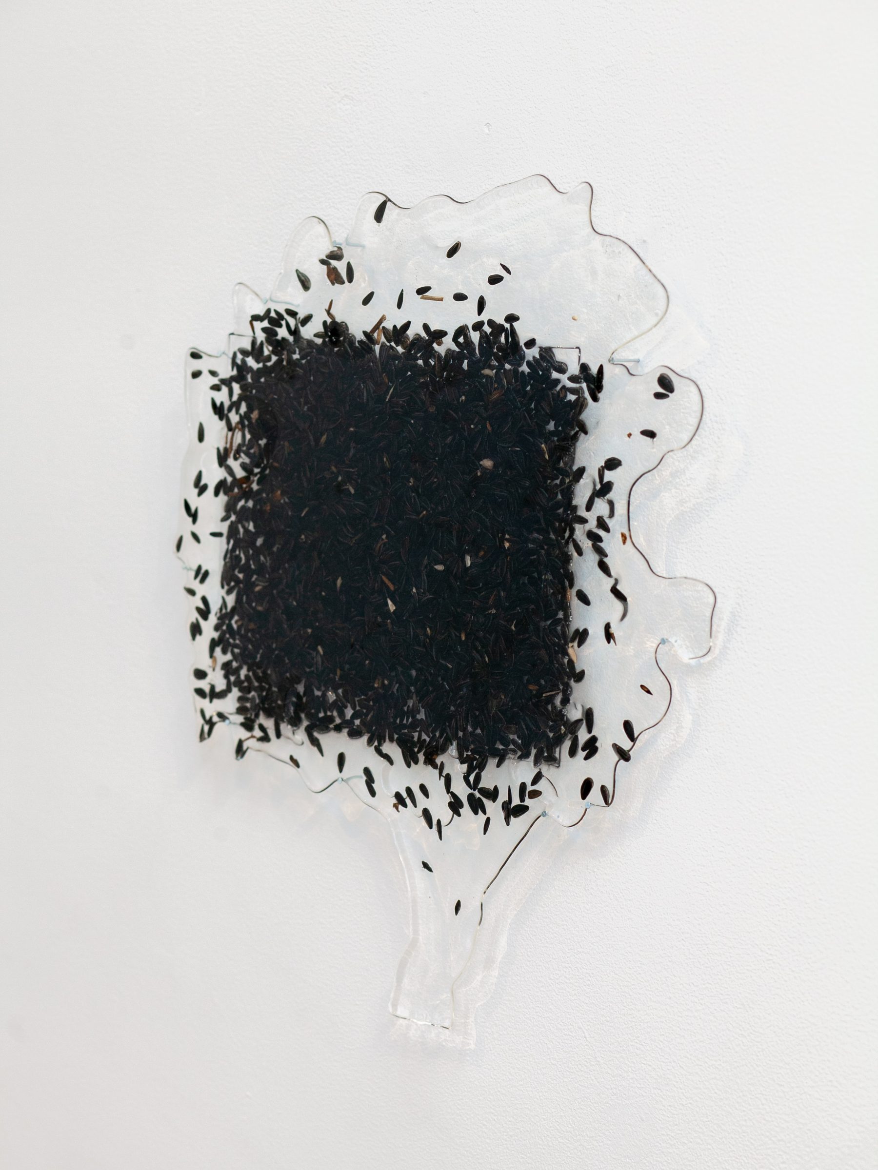 Installation view of I Feel Normal at Echo Arts, Bozeman