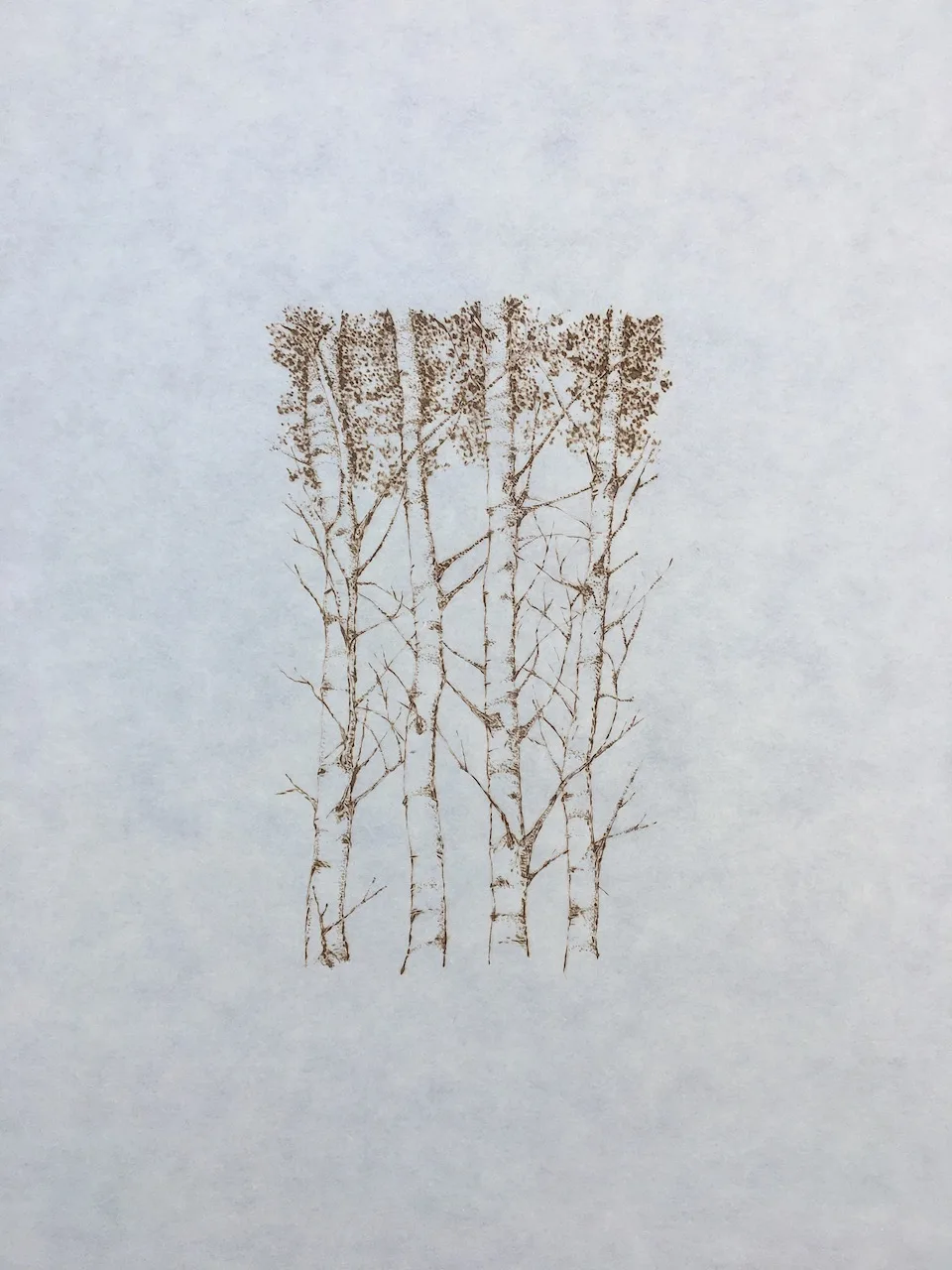 Aspen