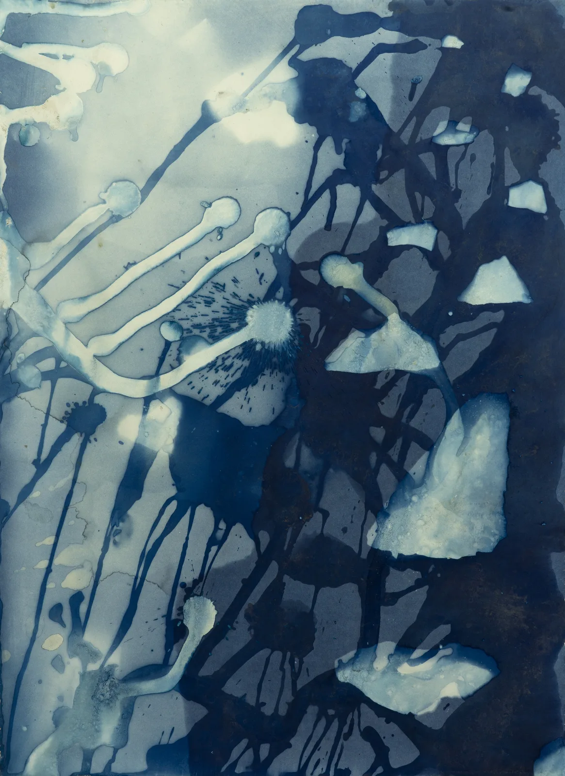 Downwaste (Piegan I), a cyanotype by Jonathan Marquis