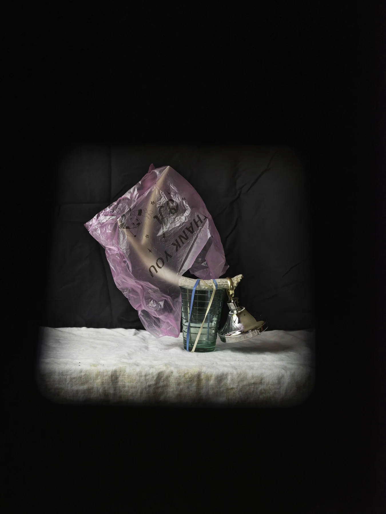 May 24, 2026, 12:08 p.m. — still-life photograph